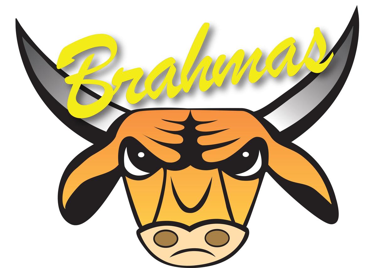 Brahma logo of Diamond Bar High School